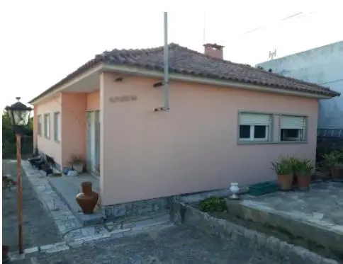 Amoreira — Vendido